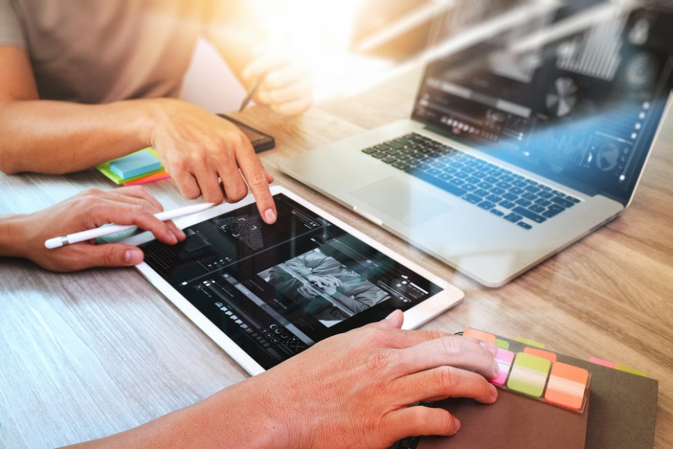 professional wordpress developer