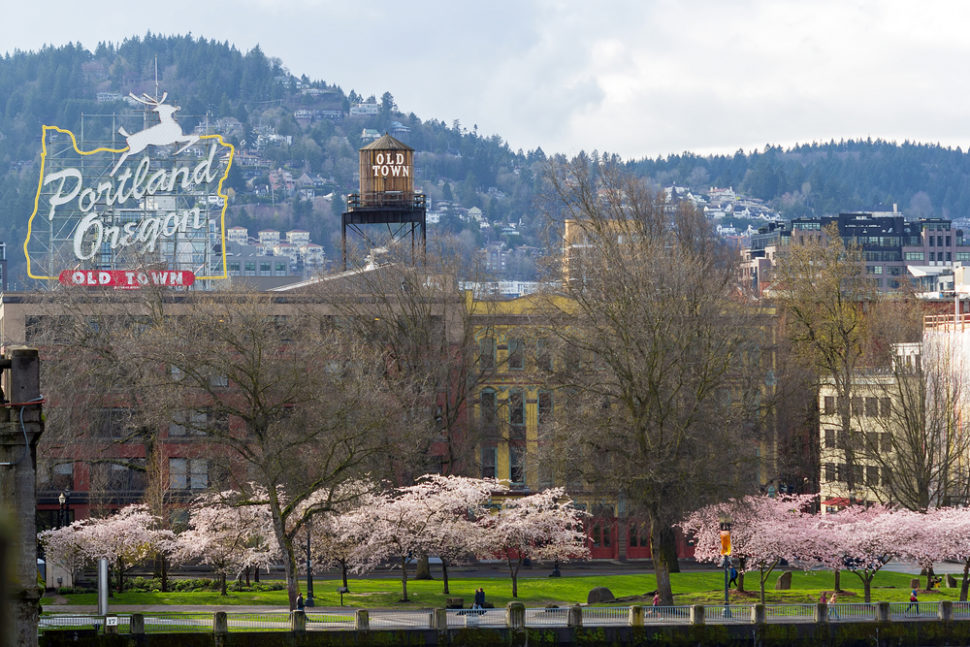 portland web designer