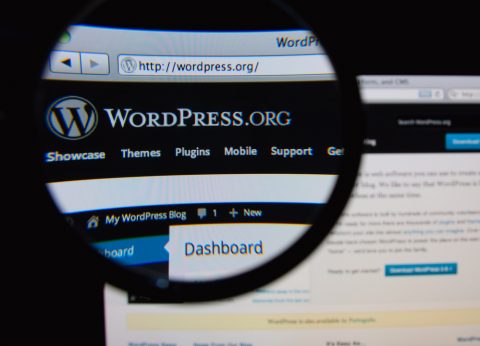 wordpress features