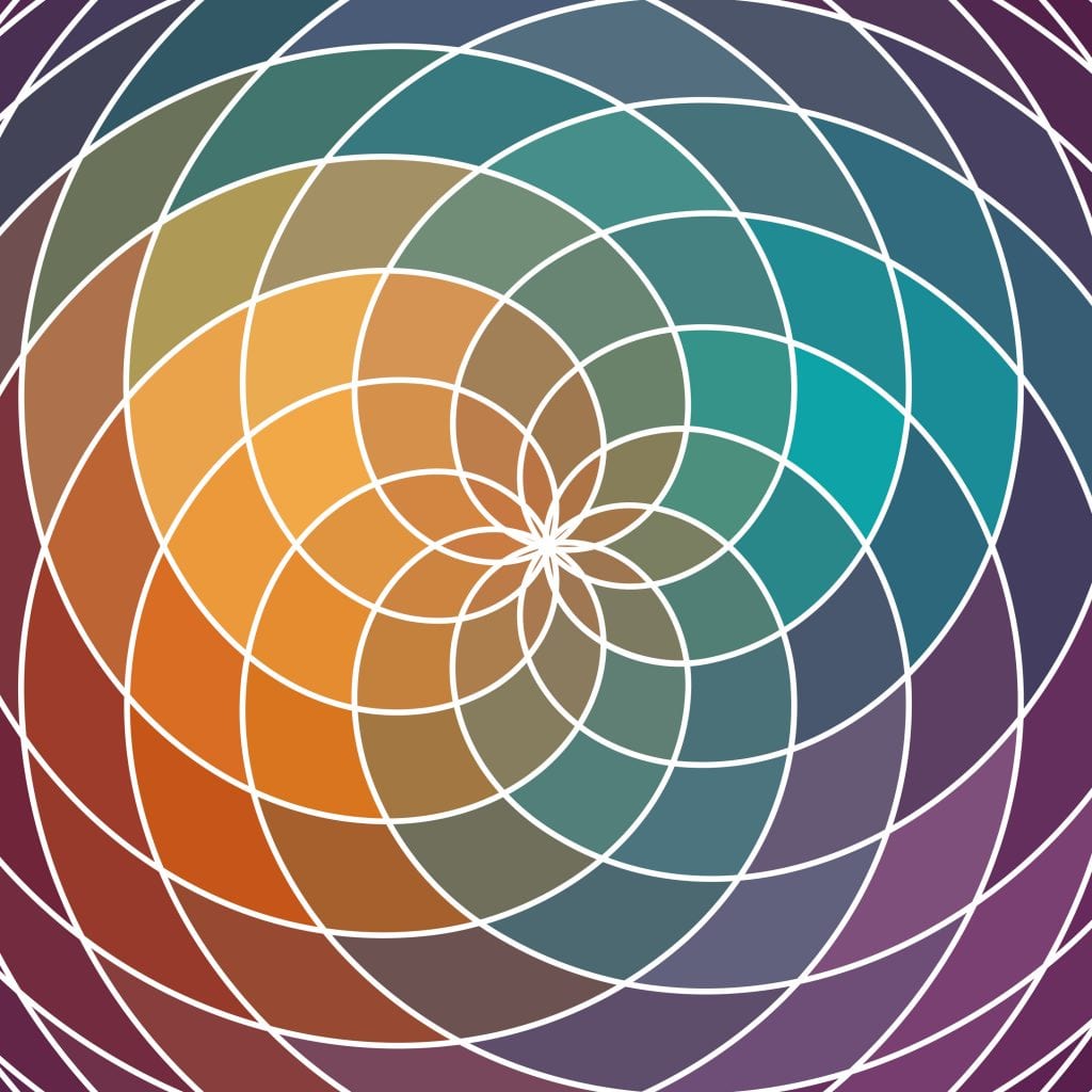 Wordpress website design Portland color choice