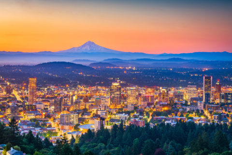 portland seo expert