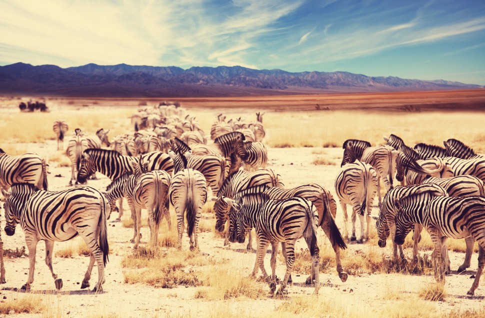 web design and photography