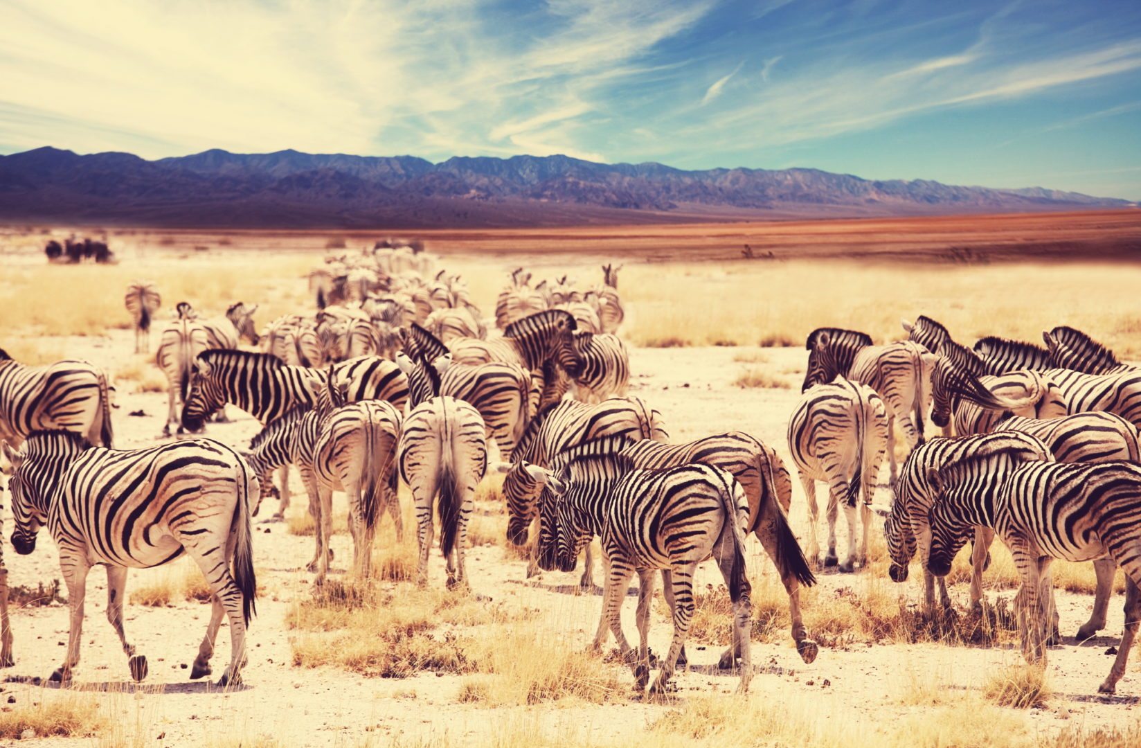 web design and photography